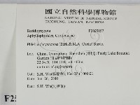 登錄號:F0025157藏品圖，第2張