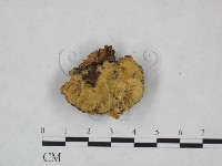 登錄號:F0025157藏品圖，第1張