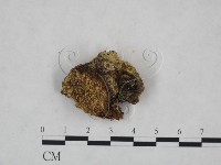 登錄號:F0025157藏品圖，第3張