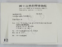 絲齒菌屬藏品圖，第2張