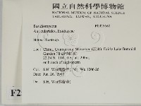 刺皮菌屬藏品圖，第2張