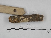 登錄號:F0025161藏品圖，第3張