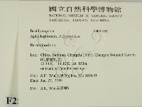 多年臥孔菌屬藏品圖，第2張