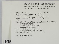 登錄號:F0025163藏品圖，第2張