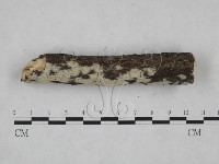 登錄號:F0025163藏品圖，第3張