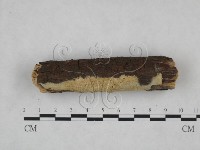 登錄號:F0025164藏品圖，第3張