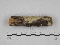 登錄號:F0025164藏品圖，第4張