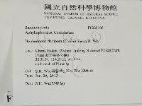 登錄號:F0025166藏品圖，第2張