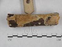 登錄號:F0025166藏品圖，第3張