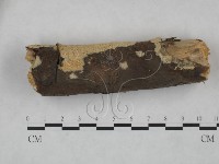 登錄號:F0025166藏品圖，第4張