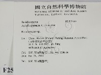 登錄號:F0025167藏品圖，第2張