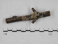 登錄號:F0025167藏品圖，第1張