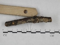 登錄號:F0025167藏品圖，第3張