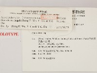 登錄號:F0025169藏品圖，第2張