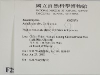 登錄號:F0025170藏品圖，第2張