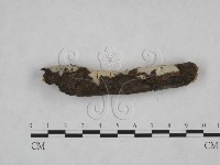 登錄號:F0025170藏品圖，第1張