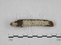 登錄號:F0025170藏品圖，第3張