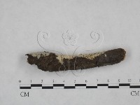 登錄號:F0025170藏品圖，第5張