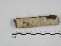 登錄號:F0025172藏品圖，第1張