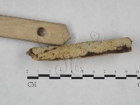 登錄號:F0025172藏品圖，第3張