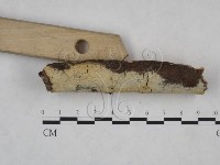 登錄號:F0025172藏品圖，第4張