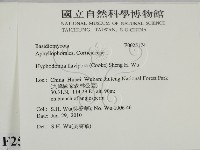 登錄號:F0025174藏品圖，第2張
