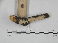 登錄號:F0025174藏品圖，第3張