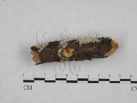 登錄號:F0025176藏品圖，第1張