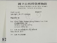 寡孔菌屬藏品圖，第2張