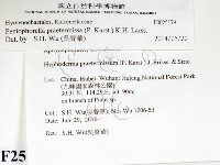 登錄號:F0025179藏品圖，第2張