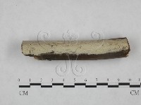 登錄號:F0025179藏品圖，第1張