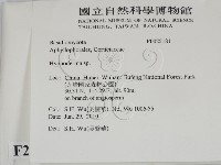 絲皮菌屬藏品圖，第2張