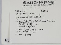 剛毛絲皮菌藏品圖，第2張