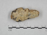 登錄號:F0025183藏品圖，第1張