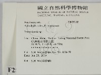 多年臥孔菌屬藏品圖，第2張