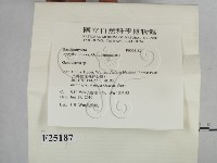 靈芝屬藏品圖，第2張