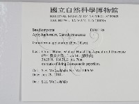 登錄號:F0025188藏品圖，第2張