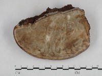 登錄號:F0025188藏品圖，第3張