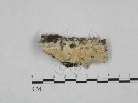 登錄號:F0025190藏品圖，第1張