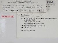 登錄號:F0025197藏品圖，第2張