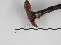 登錄號:F0025197藏品圖，第5張