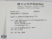 登錄號:F0025200藏品圖，第2張