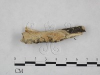 登錄號:F0025200藏品圖，第3張