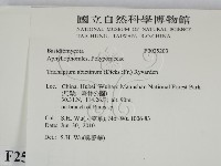 登錄號:F0025203藏品圖，第2張