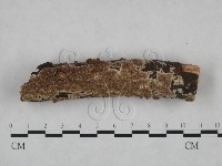 登錄號:F0025203藏品圖，第1張