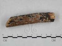 登錄號:F0025203藏品圖，第3張