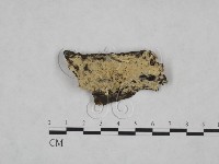 登錄號:F0025204藏品圖，第1張