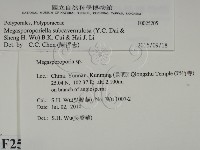 登錄號:F0025205藏品圖，第2張