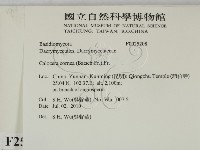 登錄號:F0025208藏品圖，第2張