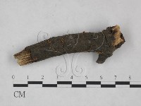 登錄號:F0025208藏品圖，第1張